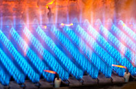 Warnborough Green gas fired boilers